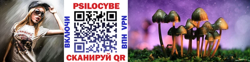 Псилоцибиновые грибы мицелий  Сургут 
